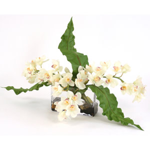 Waterlook White Orchids with Leaves in Rectangular Glass Vase