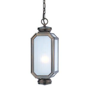 Lexington 2-Light Outdoor Pendant