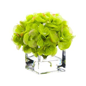 Hydrangea in Glass Vase