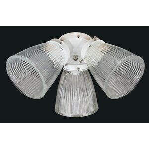 3-Light Branched Ceiling Fan Light Kit