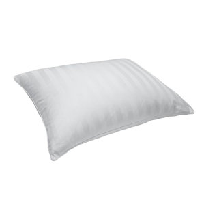 100% Down Pillow by Blue Ridge Home Fashions