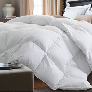 Down Comforters Duvet Inserts You Ll Love Wayfair Down Alternative Comforter