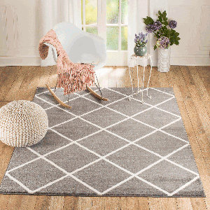 Venice Gray/White Area Rug