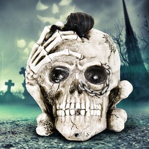 Skull Figurine with Color Changing LED Eyes and Timer