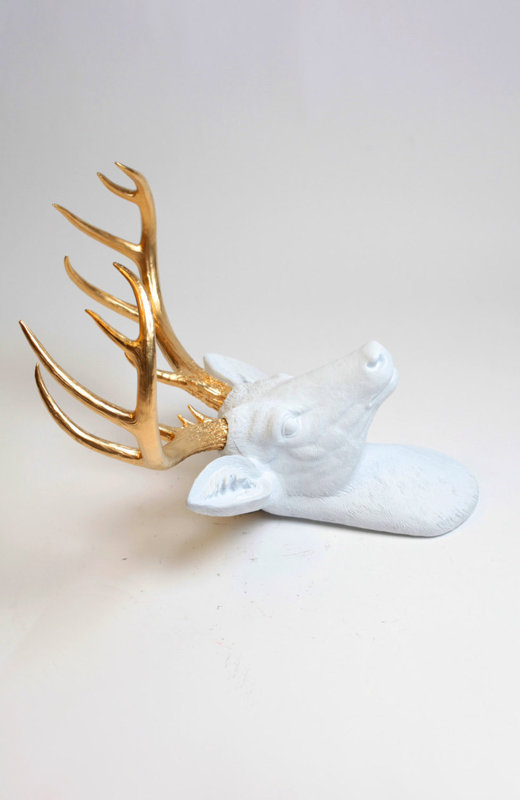 Modern Deer Head Wall Decor & Reviews AllModern