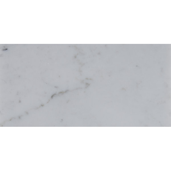 Msi 3 X 6 Polished Marble Tile In Carrara White Wayfair