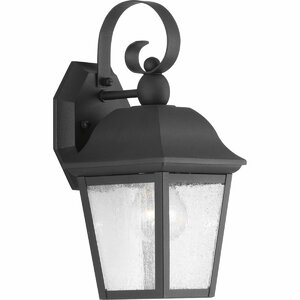 Ephraim 1-Light Outdoor Wall Lantern