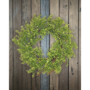Farmhouse Wreath Wayfair 24 Wild Boxwood Wreath