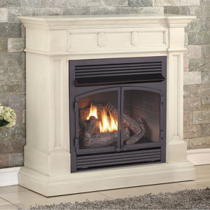 Dual Fuel Ventless Natural Gas/Propane Fireplace by Duluth Forge