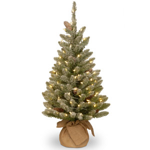 Snowy 3' Green Fir Artificial Christmas Tree with 50 LED White Lights and Stand
