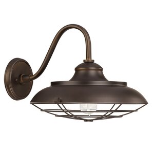 Hallie 1-Light Outdoor Barn Light