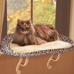 Deluxe Kitty Sill with Bolster