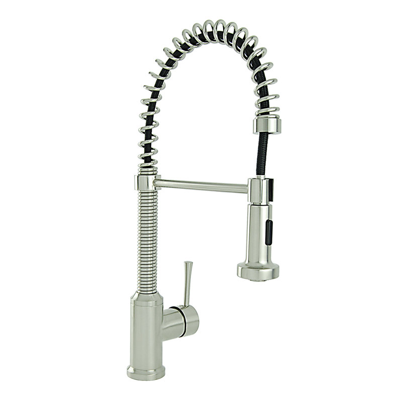 FontainebyItalia Spring Coil Flat Spray Head Pull Down ...