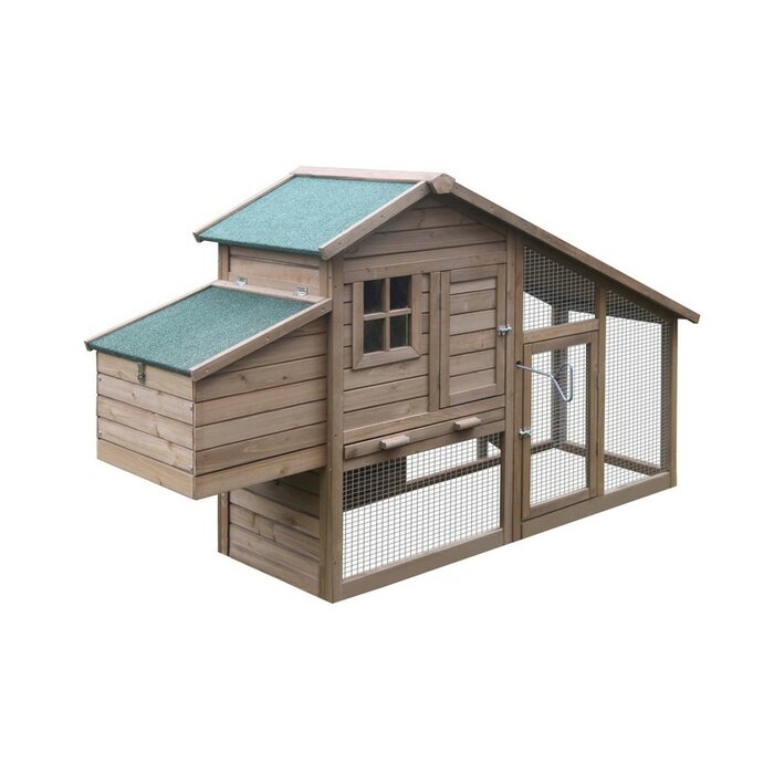 Tucker Murphy Pet Haught Multi Level Wooden Chicken Coop Reviews