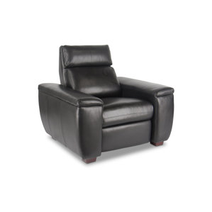 Paris Home Theater Lounger by Bass