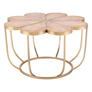 Aktepe Coffee Table by Bungalow Rose
