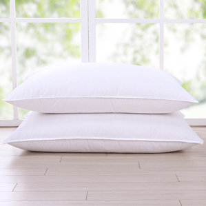 300 Thread Count Triple Chamber Goose Feathers & Down Pillow (Set of 2) by Puredown