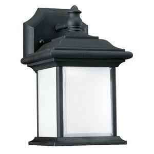 Tortez Modern 1-Light Outdoor Wall Lantern