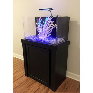 Fusion Birch Aquarium Kit