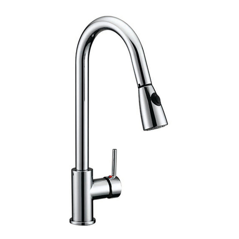 Design House Eastport Pull Down Single Handle Kitchen Faucet Wayfair