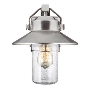 Tolliver 1-Light Outdoor Barn Light