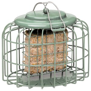 Suet Cake Oval Suet Bird Feeder