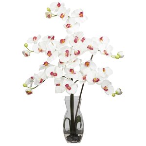 Phalaenopsis with Vase Silk Flower Arrangement in White