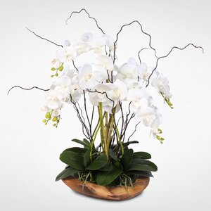 Phalaenopsis Silk Orchid Floral Arrangement