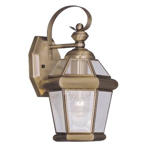 Violetta 1-Light Outdoor Wall Lantern