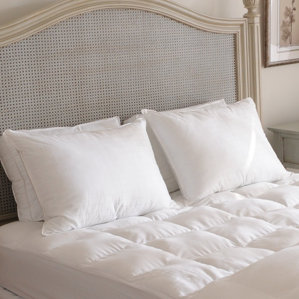 Beyond Down Alternative Pillow (Set of 2) by Carpenter Co.