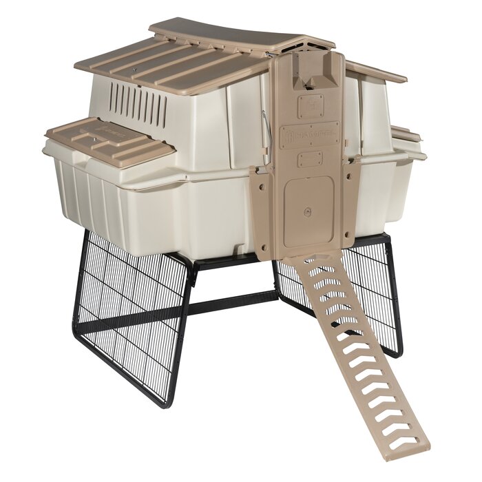 Ultimate Chicken Coop With Roosting Bar