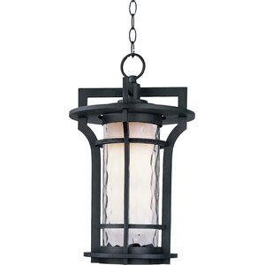 Feltonville 1-Light Outdoor Hanging Lantern