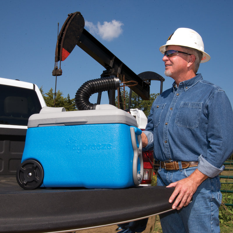 IcyBreeze 38 Qt. Portable Air Conditioner & Cooler & Reviews Wayfair