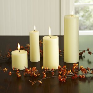 Birch Lane Pillar Candle