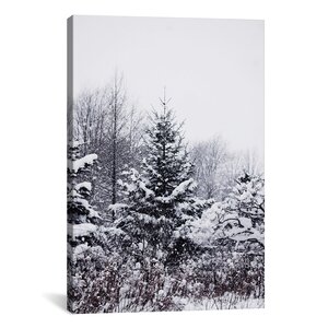 'Winter Pines' Photographic Print