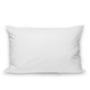 Plain Envelope Pillow Protector (Set of 2) by Alwyn Home