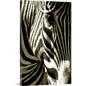 Zebra Wall Art traditional zebra wall art | wayfair Zebra Wall Art traditional zebra wall art | wayfair