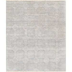 Transitional Hand Knotted Wool Gray Area Rug