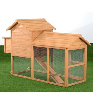 Deluxe Portable Backyard Chicken Coop with Nesting Box