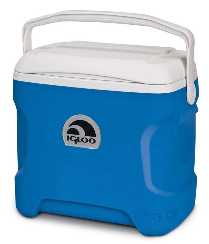 Igloo 30 Qt. Contour Cooler & Reviews | Wayfair