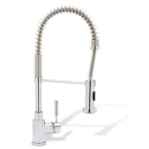 Meridian Single Handle Kitchen Faucet with Pull Down Spray