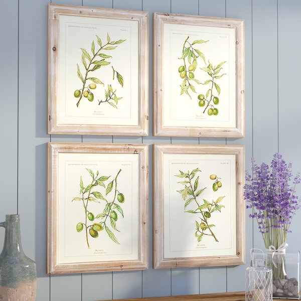 Olive Leaf Botanical 4 Piece Framed Graphic Artt Set & Reviews | Birch Lane