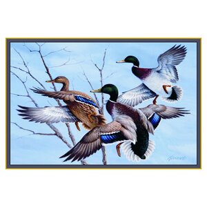 Wildlife Mallards Novelty Outdoor Area Rug