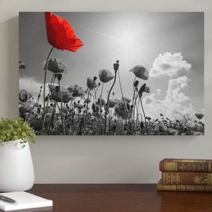 Leinwandbilder zum Verlieben | Wayfair.de Leinwandbilder zum Verlieben | Wayfair.de