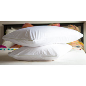 Vinyl Waterproof Pillow Protector with Zipper (Set of 2) by Alwyn Home