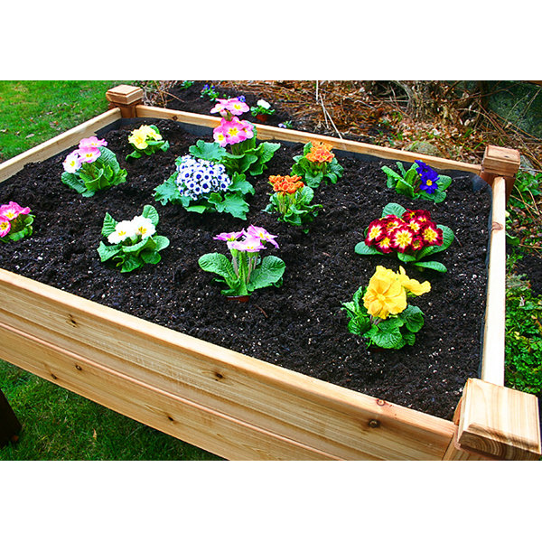 Outdoor Living Today Elevated 4 ft x 3 ft Cedar Raised Garden Wayfair