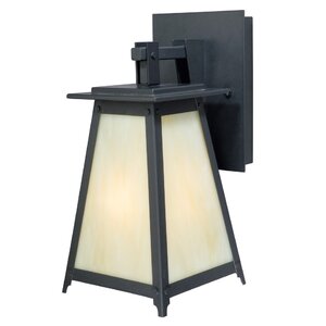 Prairieview 1-Light Outdoor Wall Lantern