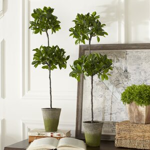 Faux Ficus Potted Topiary