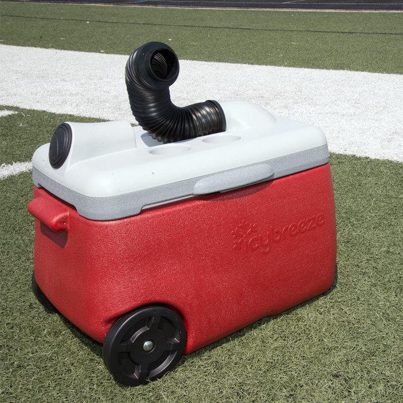 IcyBreeze 38 Qt. Portable Air Conditioner & Cooler Whiteout & Reviews