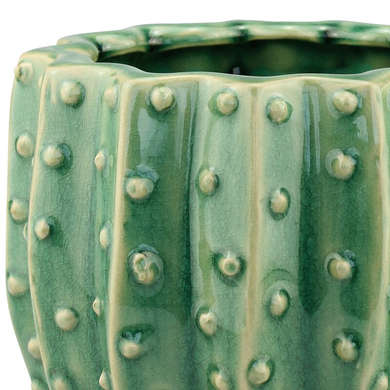 Stonebriar Ceramic Cactus Pot Planter & Reviews | Joss & Main